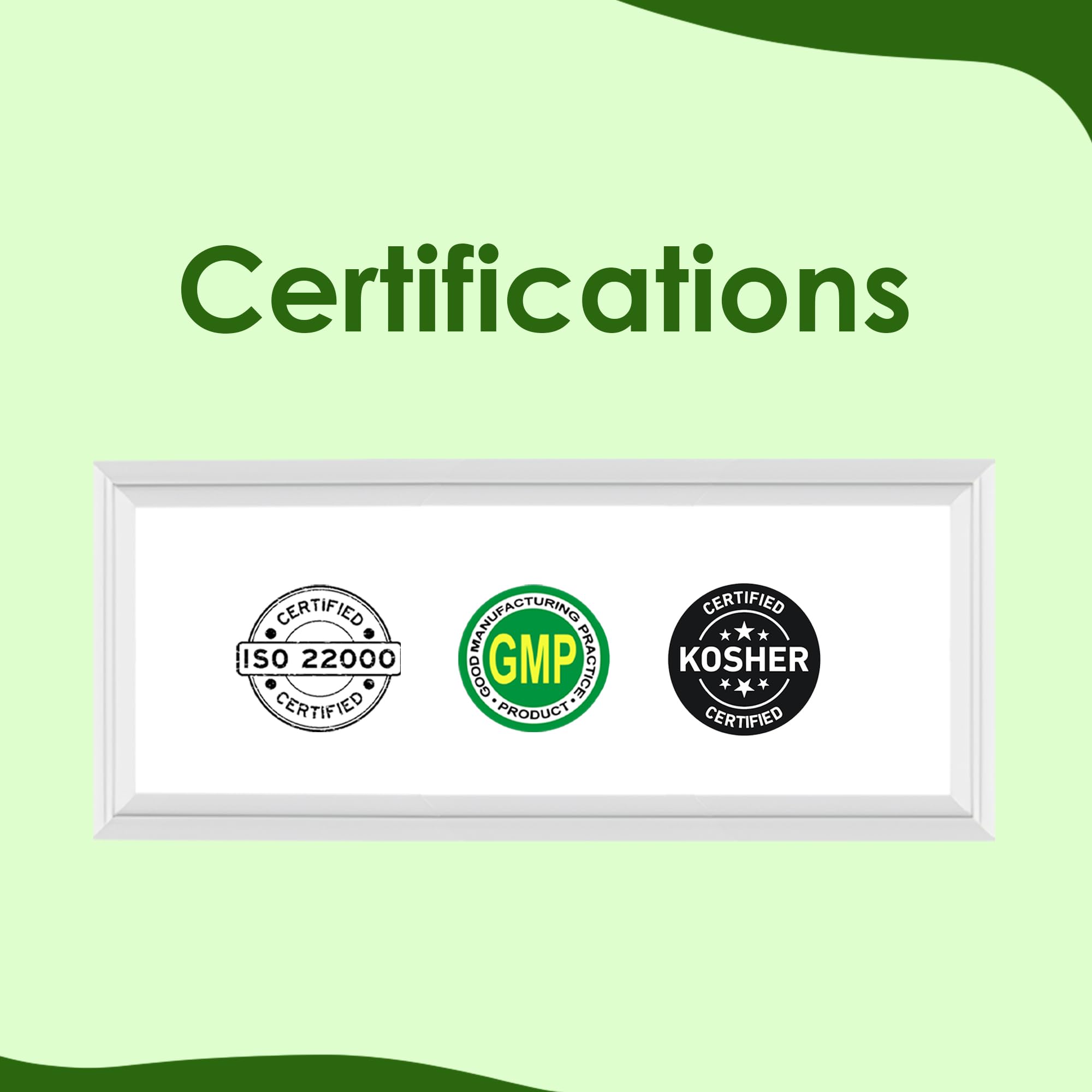 Aloe Vera Gel Powder 200x by mi Nature | Natural and Pure | Aloe Barbadensis | 100g (3.5oz) | Highly Concentrated (200x) | Digestive Support | Suitable for Cosmetic formulations - Image 7