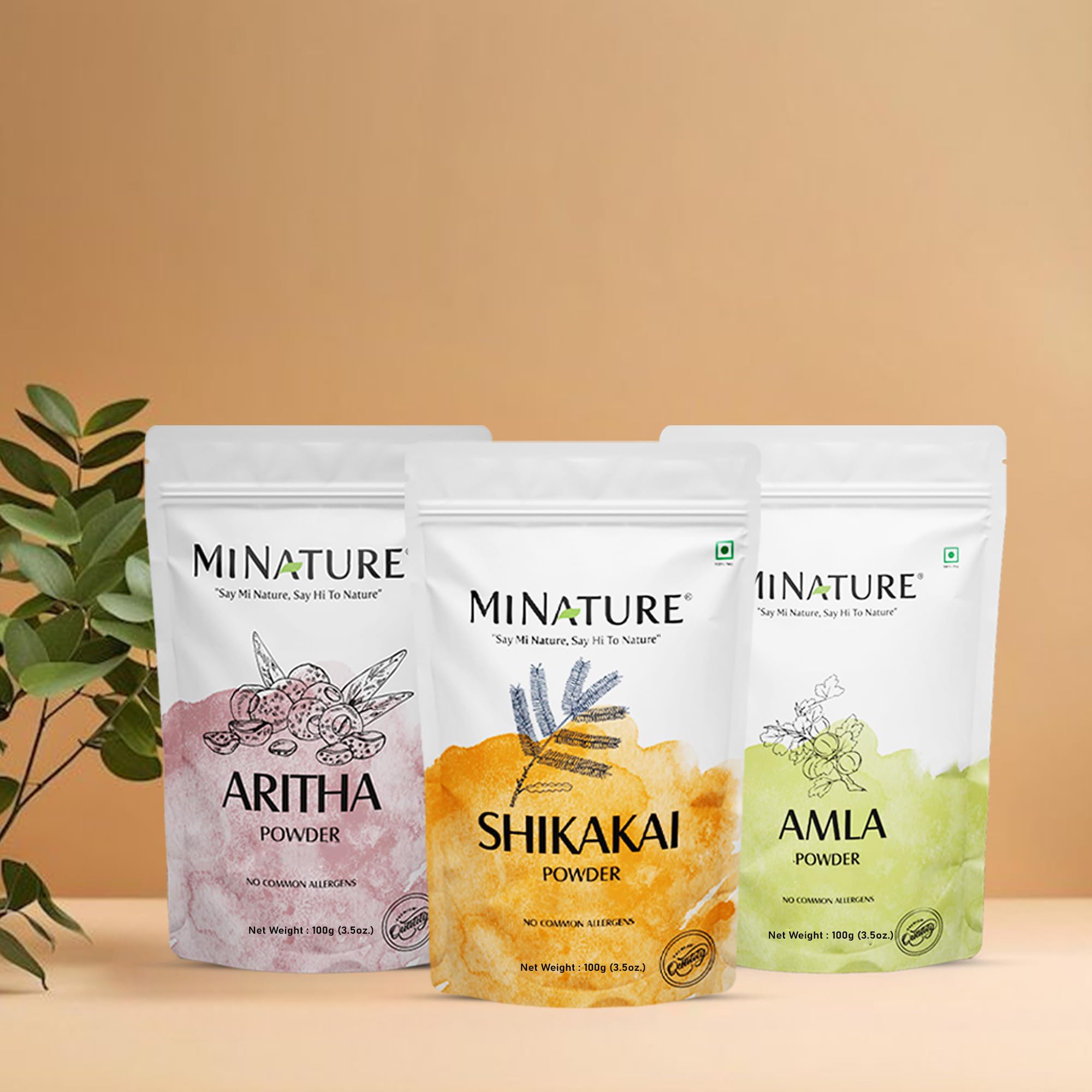 Combo Of Amla Powder Aritha & Shikakai (Pack Of 3) | For Natural Beautiful Hair | Hair Pack for Hair, Conditioning, Smooth, and Shinny, and all types of Hair | 100 Each (100g*3) - Image 6