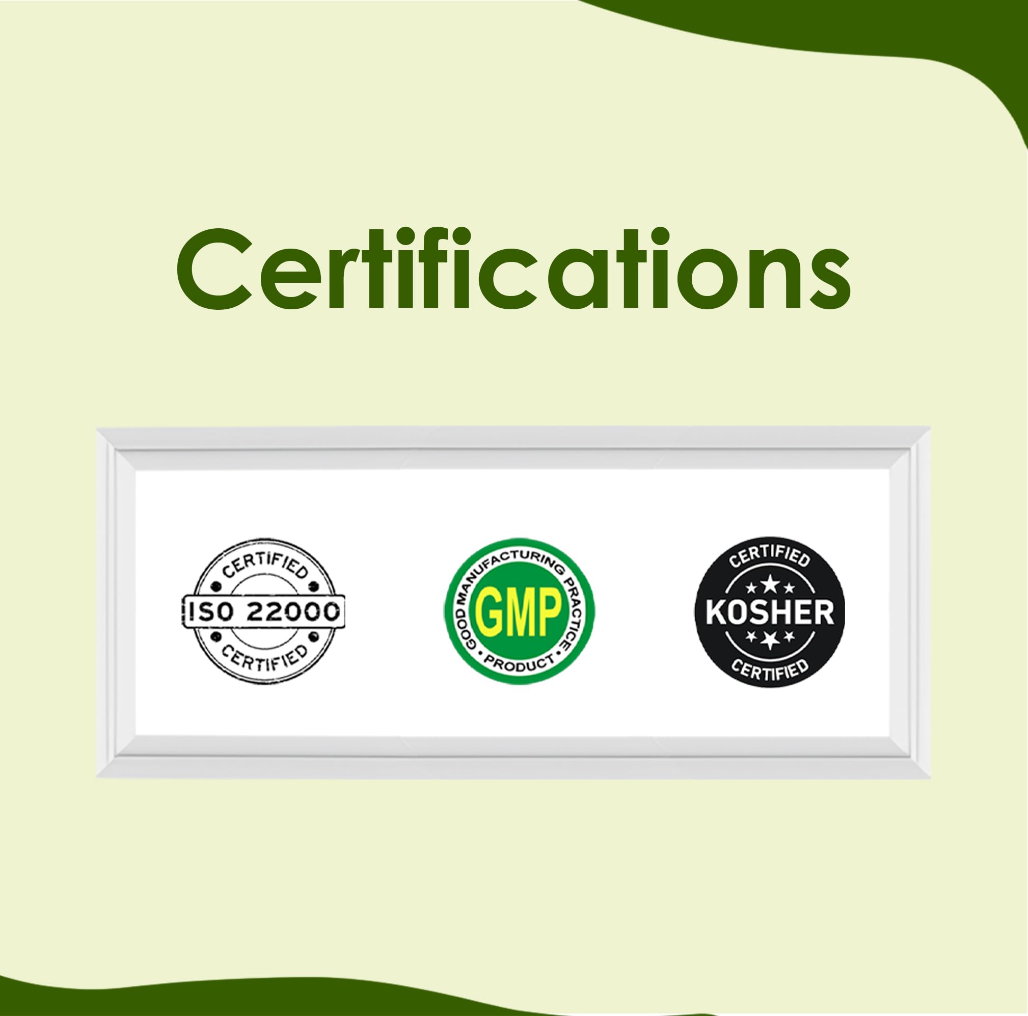 Mi Nature Hair Care Pack with Hair Brush |Triple Action Amla Aritha Shikakai Formula | 100g Pure Herbal Blend for Strong Shiny Hair |Natural Cleansing Powder |Chemical Free Wash for Damaged & Dry Hair - Image 8