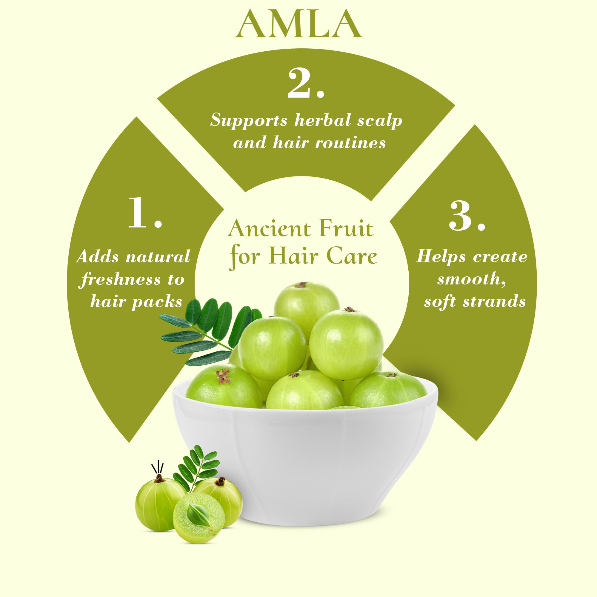 Mi Nature Hair Thickness Combo | 300g (100g x 3) with Applicator | Bhringraj, Shikakai & Amla | Herbal Hair Care | Plant-Based Formula for Fuller-Looking Hair - Image 4