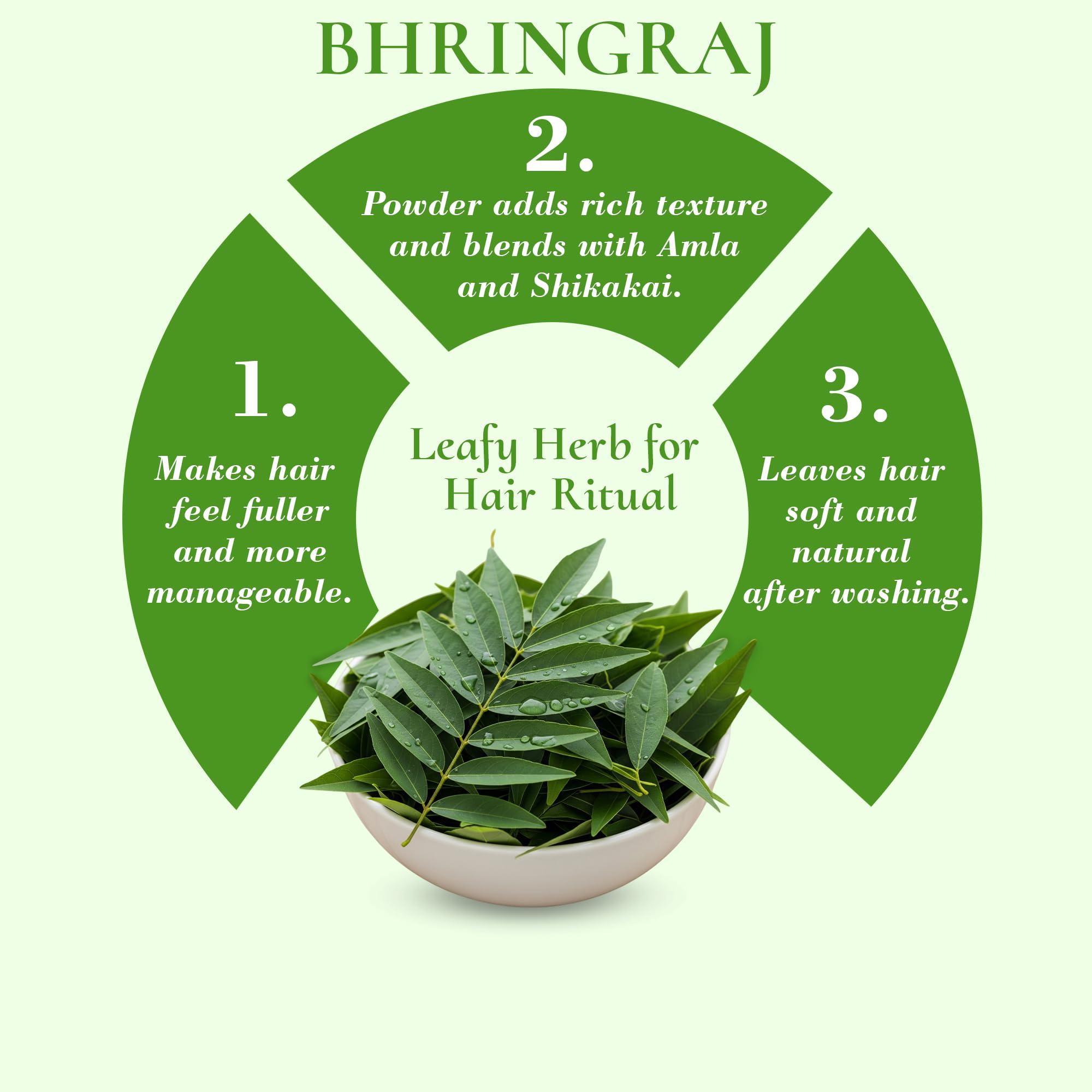 Mi Nature Hair Thickness Combo | 300g (100g x 3) with Applicator | Bhringraj, Shikakai & Amla | Herbal Hair Care | Plant-Based Formula for Fuller-Looking Hair - Image 5