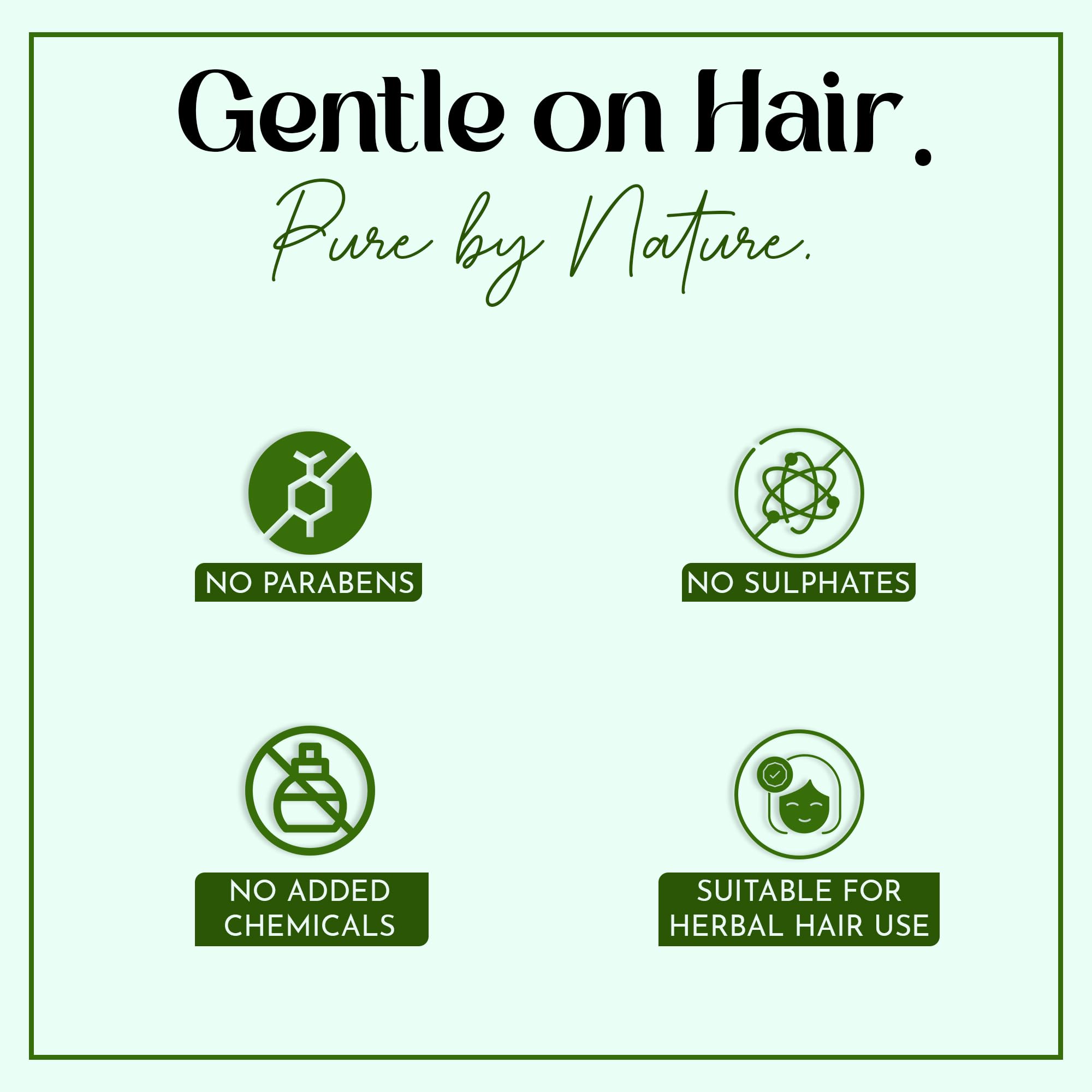 minature Fresh Sidr Leaves Powder 454gm (16oz) | Natural Deep Cleansing & Conditioning Herb for Hair Care | Traditional Herbal Cleanser |Plant-based Source of Mucilages and Saponins - Image 6