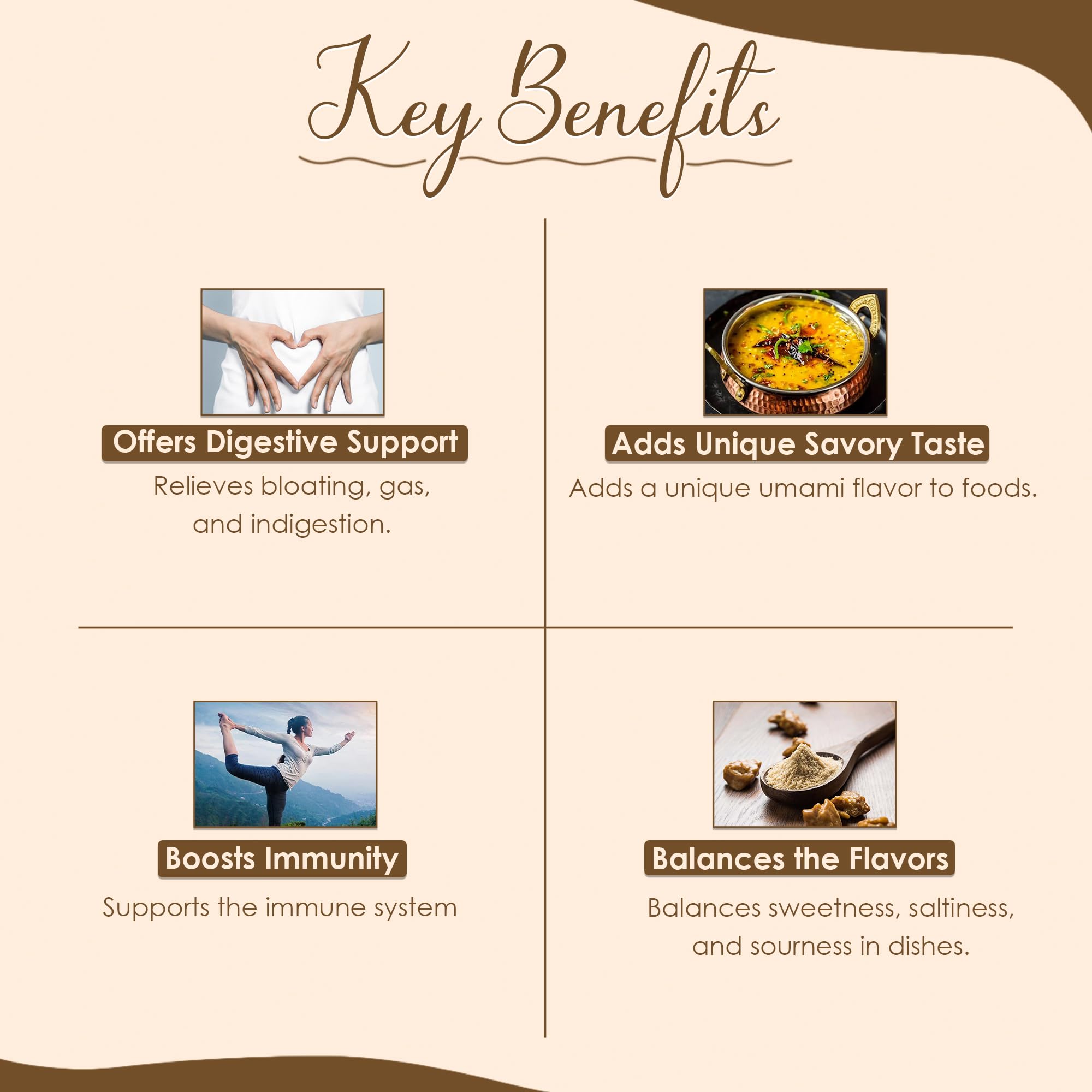 Minature Asafoetida Powder (Hing) | Natural Indian Spice 454g (16oz)| Heeng Powder | Authentic Cooking Ingredient from India - Image 3