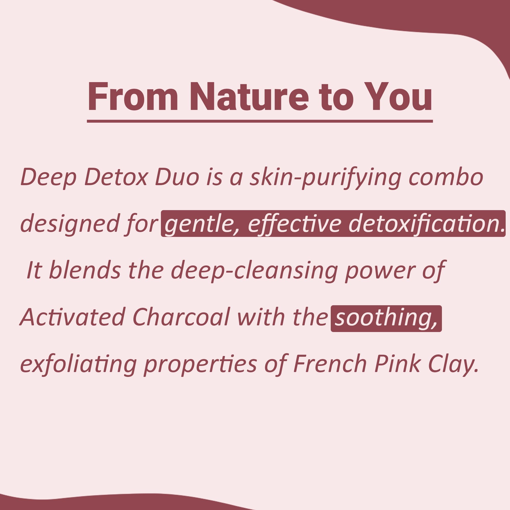 minature Deep Detox Duo Face Mask Activated Charcoal & French Pink Clay Powder | 100% Pure & Natural | Oil Control,Teeth Whitening | DIY Face Pack & Skincare | 100g Each | Chemical & Cruelty-Free - Image 3
