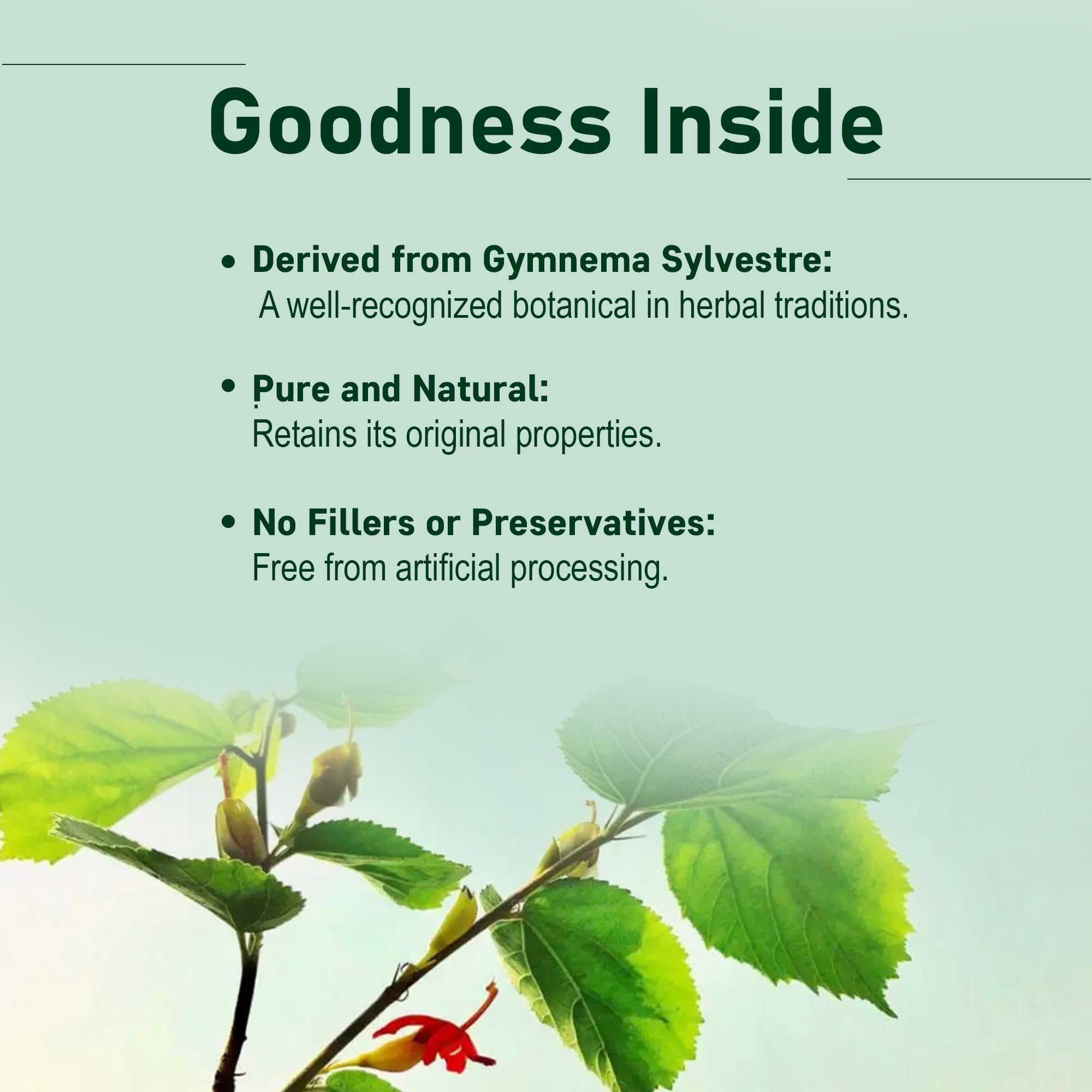 minature Gymnema Powder| 227g (8 oz)(0.5 lb) |Pure & Natural | Non-GMO, No Preservatives| Gurmar |Traditionally Used for Wellness Support - Image 3