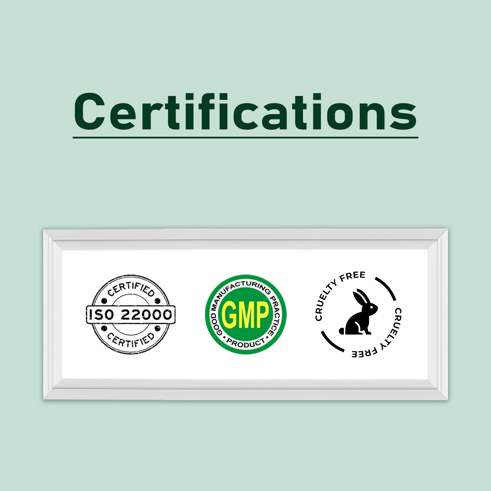 minature Gymnema Powder| 227g (8 oz)(0.5 lb) |Pure & Natural | Non-GMO, No Preservatives| Gurmar |Traditionally Used for Wellness Support - Image 6